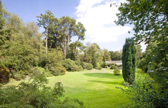 Land for sale in Virginia Water photo