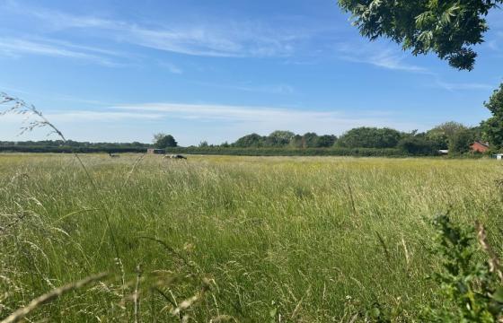 Prime development site in Bungay photo
