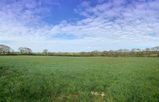 Ref 700. Land for sale in St Giles on the Heath photo