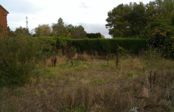 Development potential in Thornton photo