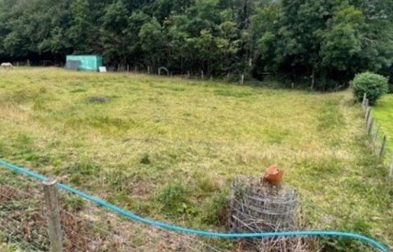 Land for sale in Llanidloes photo