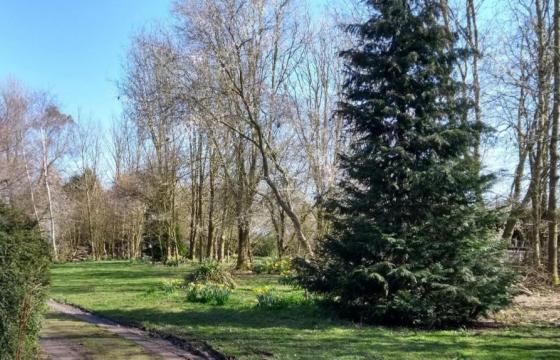 Custom Build for sale in Coldred photo