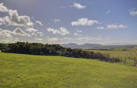 Land for sale in HARRAY photo