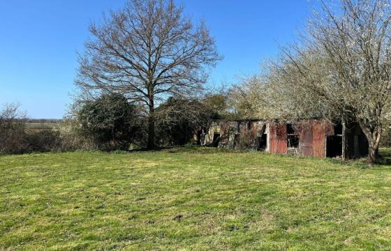 BUILDING LAND in Chelmsford photo