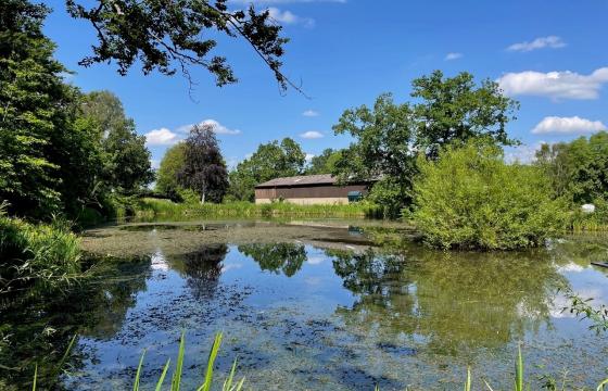 Conversion for sale in Langton Green photo