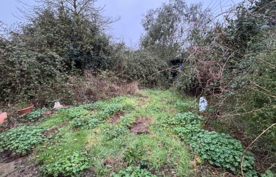 The property requires modernisation in Freshwater photo