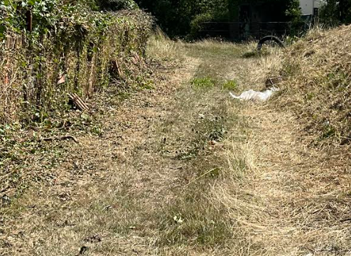 Land for sale in Newport photo