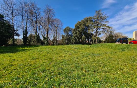 Land for sale in Newton Abbot photo