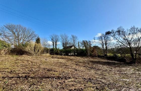 Plot with PP for sale in Reynoldston photo