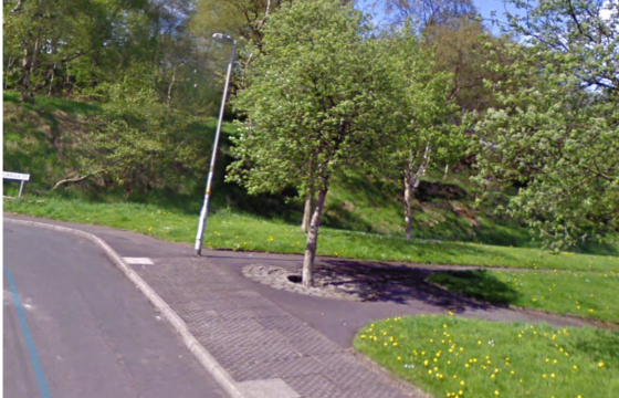 Plot with PP for sale in Radford photo