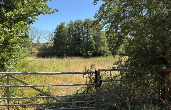 Land for sale in Bordon photo