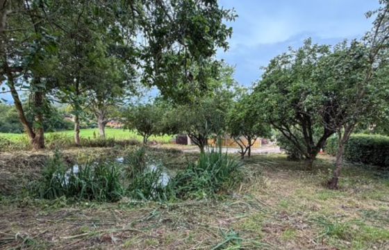 Land for sale in Saxby-All-Saints photo