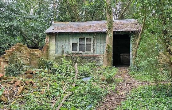 Development potential in PETWORTH photo