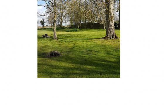 Plot with PP for sale in East End photo