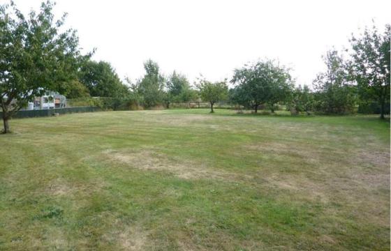 Development Opportunity in Grimsby photo