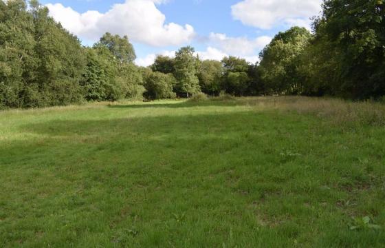 Land for sale in Llanybydder photo