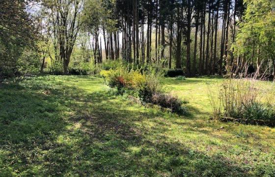 Land for sale in Billingford photo
