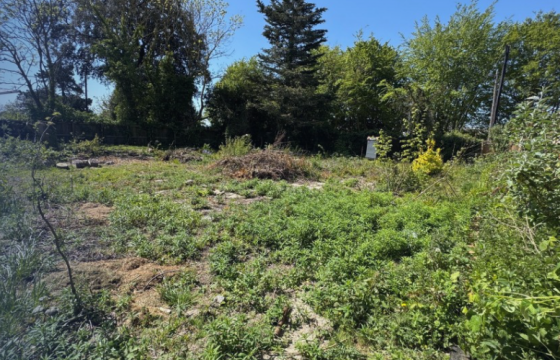 Land for sale in Sandwich photo