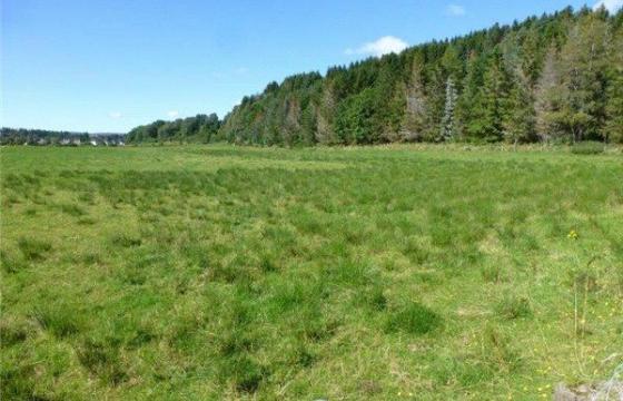 Land for sale in Aberlour photo