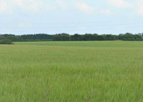 Development site in Blyton photo