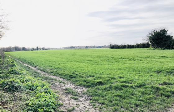 Plot with PP for sale in St Peter's photo