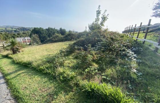Land for sale in Paignton photo