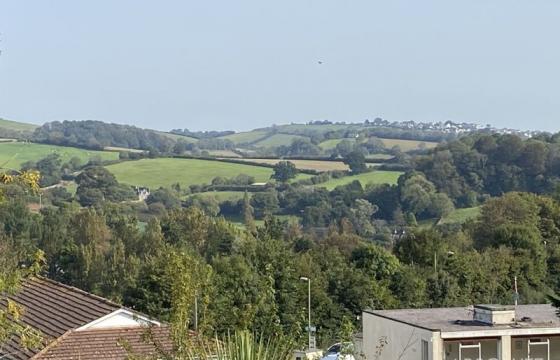 Land for sale in Paignton photo