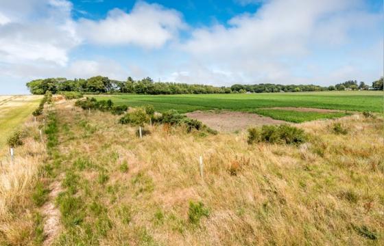 Land for sale in Angus photo