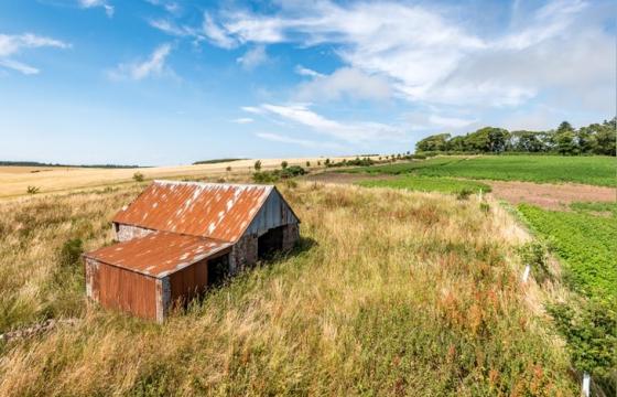 Under Offer, Land for sale in Angus photo