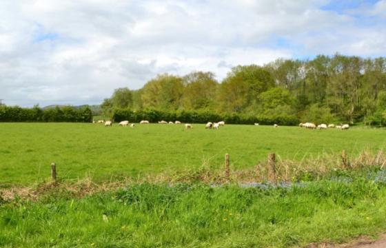 Development in Boughrood photo