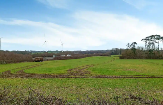 Land for sale in Polegate photo