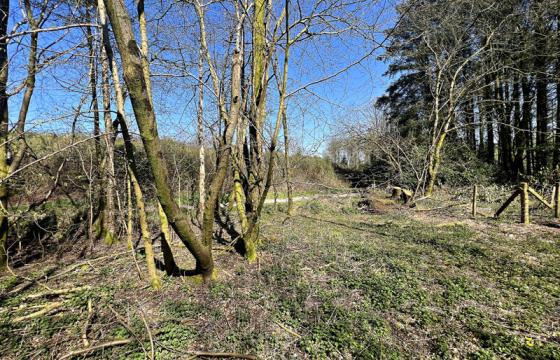 RURAL PLOT IN Castle Douglas photo