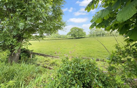 BUILDING PLOT in Cowes photo