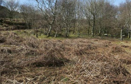 Land for sale in Dunvegan photo