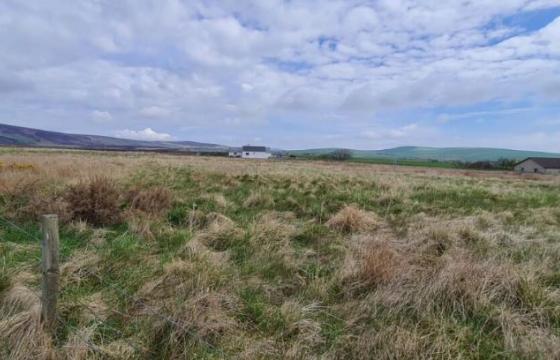 Land for sale in Orkney photo
