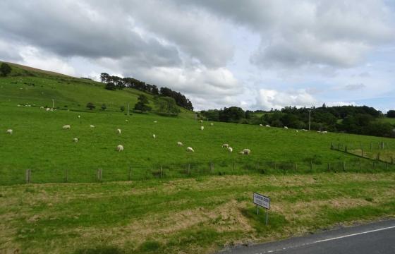 Land for sale in Llanidloes photo
