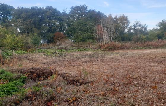 Plot with PP for sale in Lentran photo