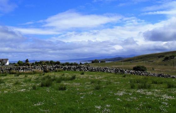 Land for sale in Laide photo