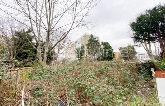 Development opportunity in Wood Green photo