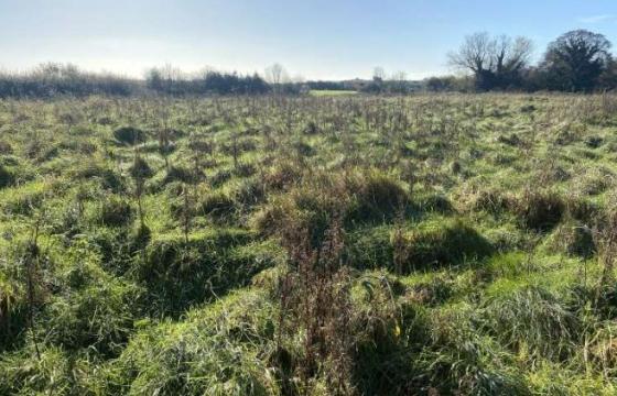 Development in Flookburgh photo