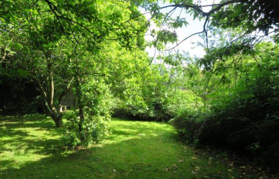 Land for sale in Stockton-On-Tees photo