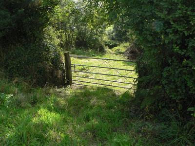 Land - No PP for sale in Morwenstow photo