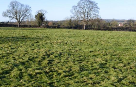 Development Opportunity in Burgh le Marsh photo