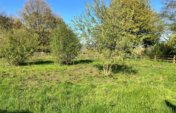 Land for sale in Bolton photo