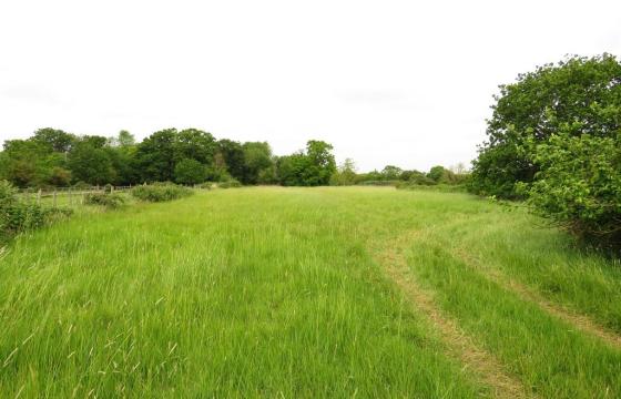 Land for sale in March photo