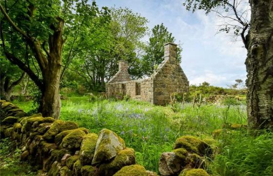 Land for sale in Banchory photo