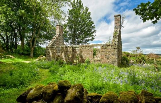 Under Offer, Land for sale in Banchory photo
