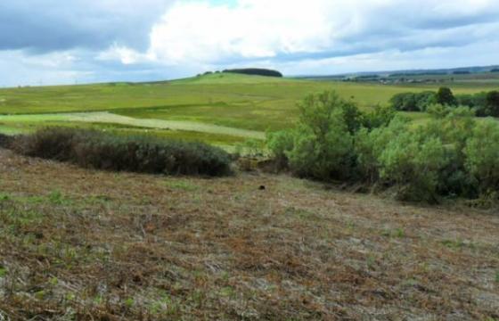 Plot of Land in Tarbrax photo