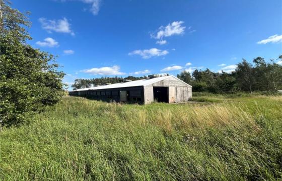 Land for sale in Newcastle upon Tyne photo