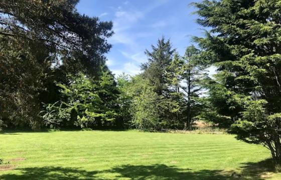 Land for sale Near Coldingham photo